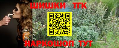гашик Обь