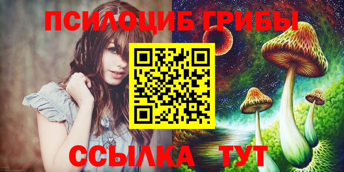Псилоцибиновые грибы Psilocybine cubensis  Вход с VPN  Обь  Псилоцибиновые грибы MAGIC MUSHROOMS 